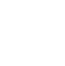 DLV Roofing Logo